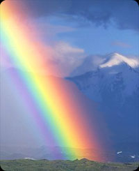 Restoration Rainbow